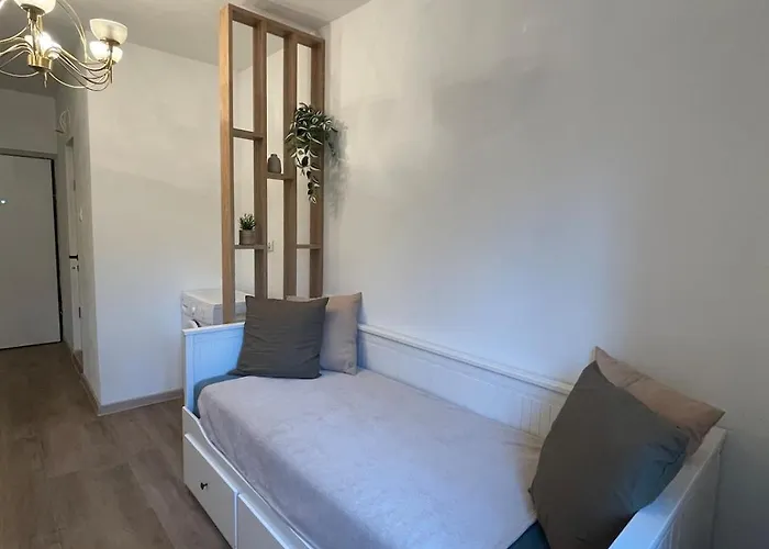 Chic In 艾福雷诺德